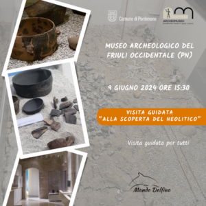 Museo Archeologico - Visita guidata - Alla scoperta del Neolitico - 9 giugno 24 - Società Mondo Delfino Cooperativa Sociale - Musei